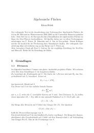 Algebraische Flächen - Institut für Algebraische Geometrie - Leibniz ...