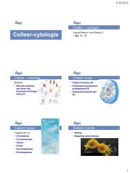 Celleer-cytologie