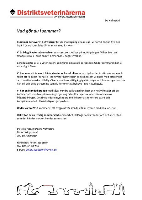 Vad gör du i sommar? - Distriktsveterinärerna