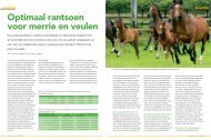 Optimaal rantsoen voor merrie en veulen