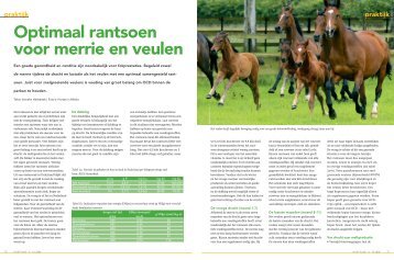 Optimaal rantsoen voor merrie en veulen