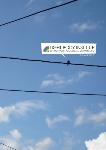 LIGHT BODY INSTITUTE - Roland Verschaeve