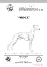 Standard för whippet - Whippetklubben