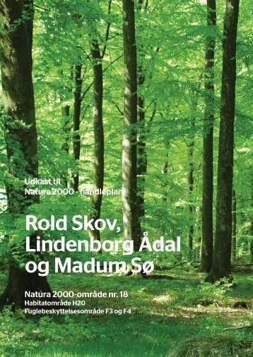 Rold Skov, Lindenborg Ådal og Madum Sø