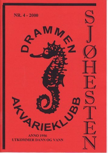 Sjøhesten nr. 4-2000.pdf - Norsk Akvarieforbund