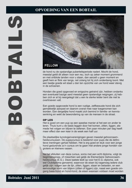 B O B T A L E S - Old English Sheepdog Club Nederland