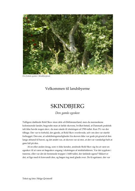 gammel skørping - Velkommen til Landsbyerne - Rebild Kommune