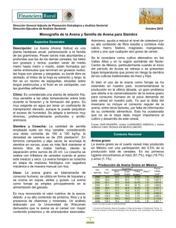 Monografía de la Avena y Semilla de Avena para ... - Financiera Rural