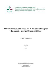 och nackdelar med PCR vid bakteriologisk diagnostik av mastit hos ...