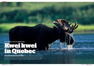 Vanuit Montréal trok Geert De Weyer doorheen de provincie Quebec ...