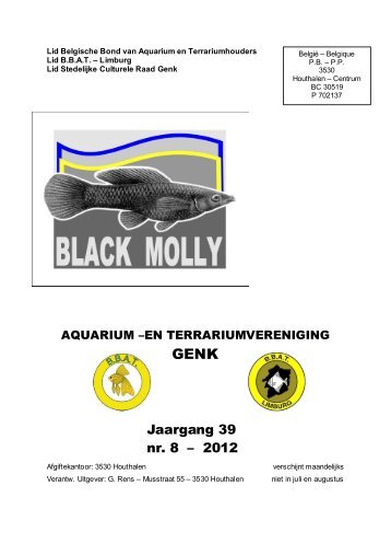 Oktober 2012 - Black Molly