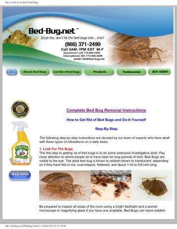 Complete Bed Bug Removal Instructions - Bed Bugs