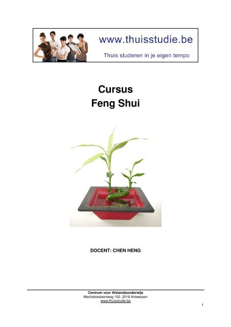 Cursus Feng Shui - Zelfstudie of thuisstudie - start dezelfde dag nog ...