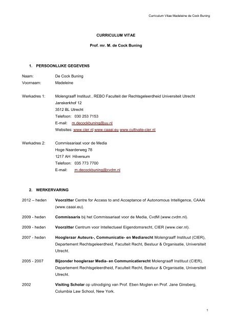 Het Volledige Cv Centrum Voor Intellectueel Eigendomsrecht