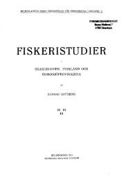 FISKERISTUDIER - Runkebjerg.dk