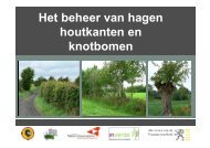 beheer hagen en houtkanten - Regionaal Landschap Groene ...