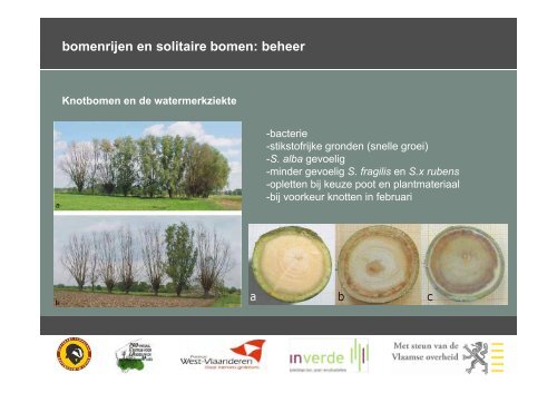 beheer hagen en houtkanten - Regionaal Landschap Groene ...