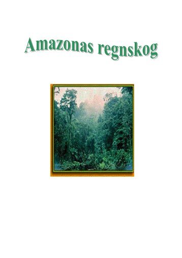 Amazonas regnskog