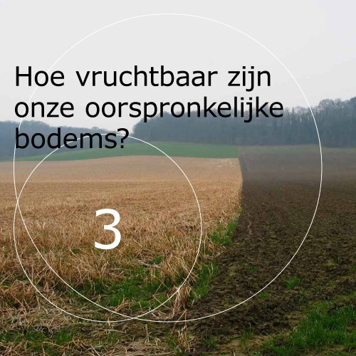 30vragen en antwoorden