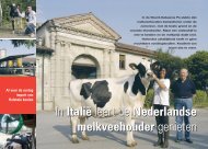 Al voor de oorlog import van Holstein koeien - Melkvee.nl