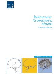Åtgärdsprogram för bevarande av blåtryffel ISBN ... - Regional Red List
