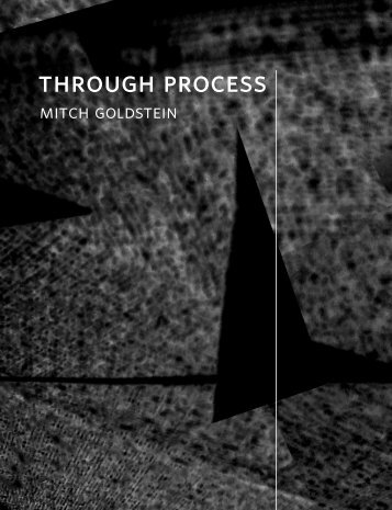 23MB PDF - Mitch Goldstein