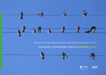 Socialinės atsakomybės ataskaita 2010, AB LESTO