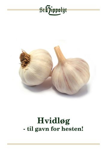 Hvidløg - St. Hippolyt