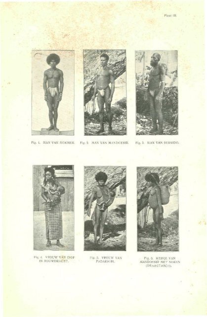 Feuilletau de Bruyn_1920_SchoutenPadaido.pdf - Stichting Papua ...