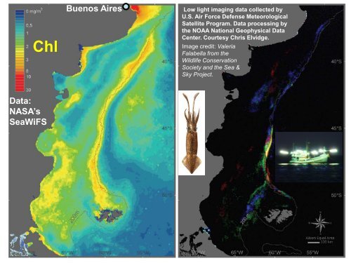 Front Detection in Chlorophyll and SST Satellite Imagery - Ocean's ...