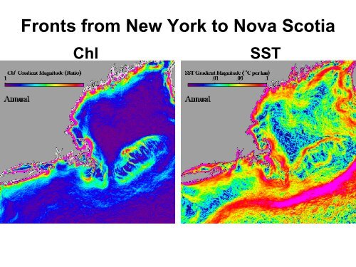 Front Detection in Chlorophyll and SST Satellite Imagery - Ocean's ...