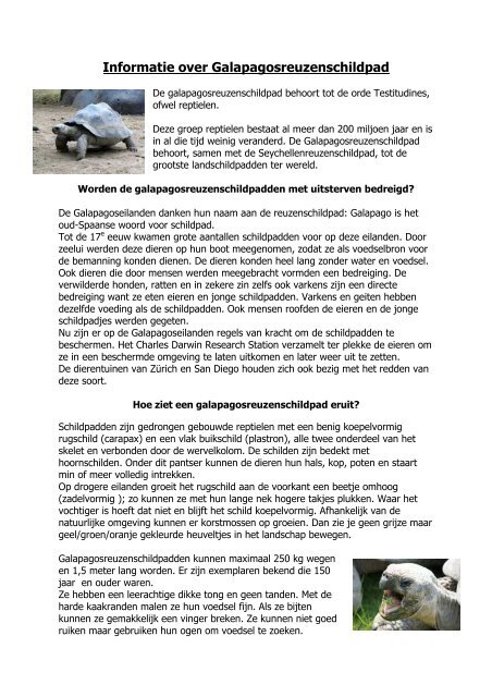 Informatie over Galapagosreuzenschildpad - Diergaarde Blijdorp