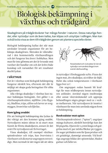 26. Biologisk bekämpning i växthus och trädgård - Riksförbundet ...