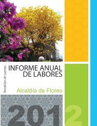 INFORME ANUAL DE LABORES