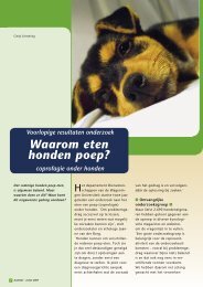 Waarom eten honden poep? - Schwering Communicatie