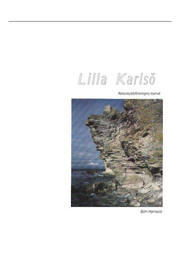 Mer information om Lilla Karlsö