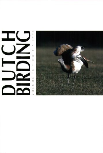 UZ ~-~ - Dutch Birding