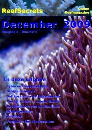 December 2009 - ReefSecrets