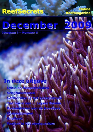 December 2009 - ReefSecrets