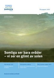 Årsrapport 2007 - SKAGEN Fonder