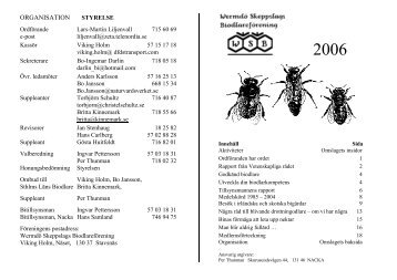 Årsskrift 2006 - Wermdö Skeppslags Biodlareförening