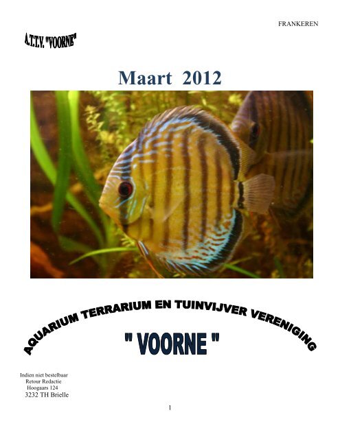 Maandblad Maart 2012 - Aquariumvereniging Voorne