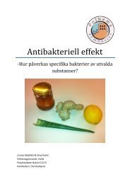 Antibakteriell effekt - Förbundet Unga Forskare