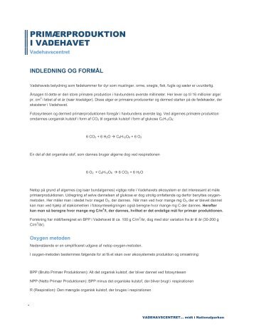 Hent som pdf - Vadehavscentret