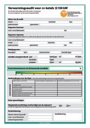 Auditrapport Cv Ketels Blz 1 Versie 31 5 2010 Myskill