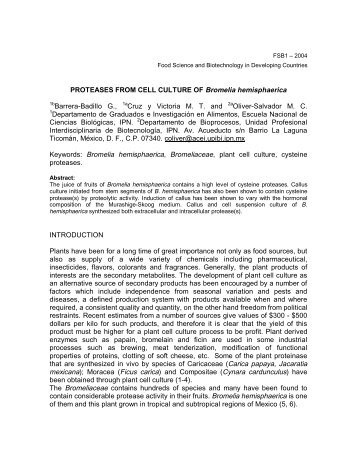 PROTEASES FROM CELL CULTURE OF Bromelia hemisphaerica ...