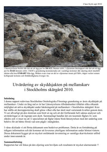 Utvärdering av skyddsjakten på mellanskarv 2010 - Stockholms ...