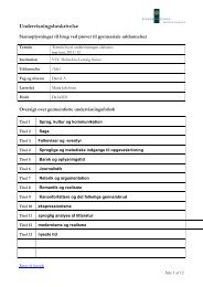 Undervisningsbeskrivelse - VUC Holstebro Lemvig Struer