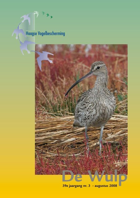 Augustus 2008 - Haagse Vogelbescherming