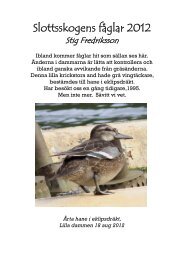 Slottsskogens fåglar 2012 - NaturStig